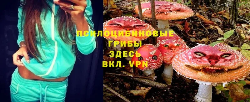 Галлюциногенные грибы MAGIC MUSHROOMS  что такое наркотик  Усмань 